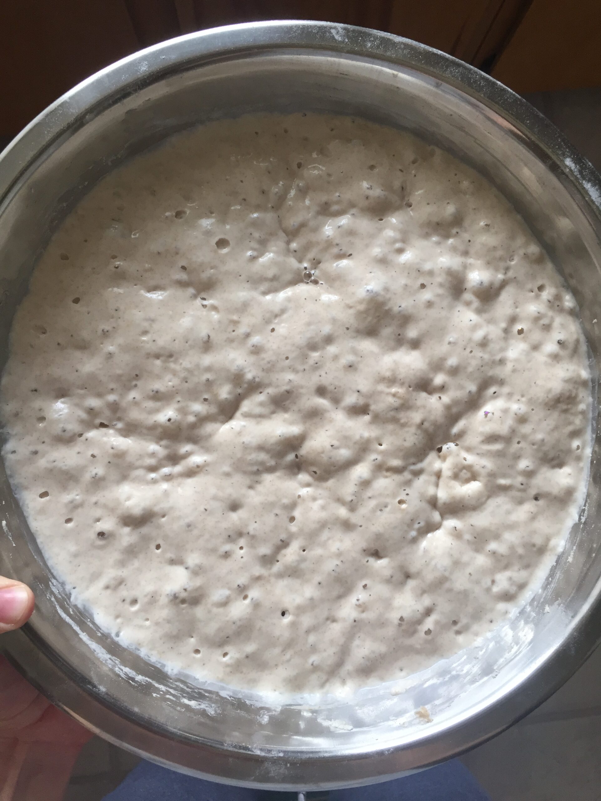 Fresh Sourdough Starter & Sourdough Guide Kuluntu Bakery